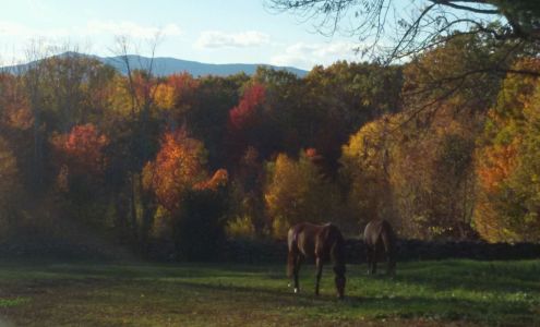 Monadnock Equine Veterinary Services 464 Old Chesham Rd, Marlborough New Hampshire 03455