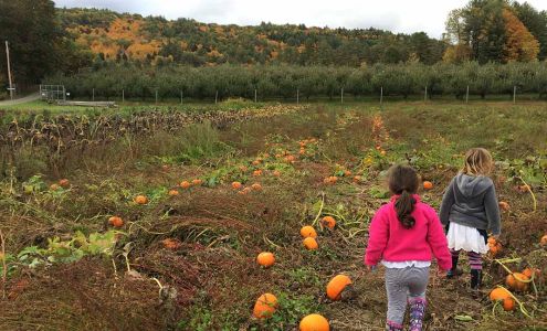 Montessori Discovery School