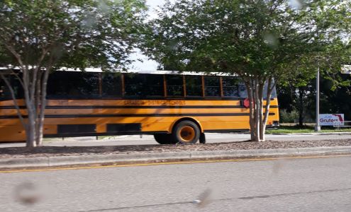 Timber Chase at Sarasota Bay