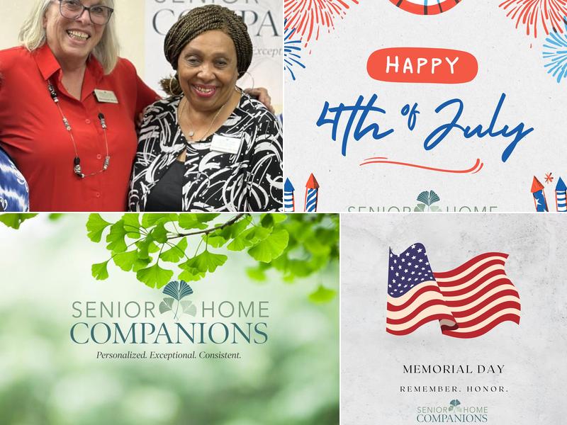 Senior Home Companions