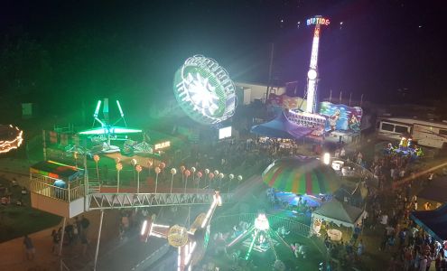 Foxy Field Verplanck