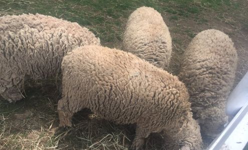 Field of Dreams Pre-School Slate Hill