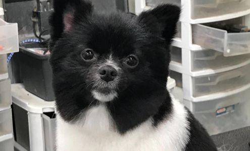 Sellers Pet Grooming