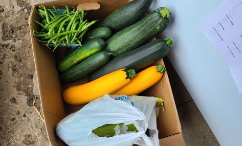 Valley Brook Veterinary Service Bevans Rd, Layton New Jersey 07851