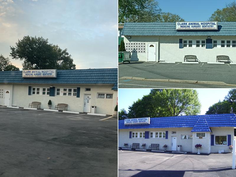 Clark Animal Hospital: Anant V Joshi DVM