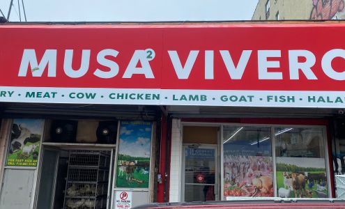 Musa 2 Live Poultry Vivero