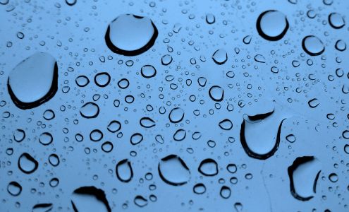 Rainforest Carwash of Magee Magee