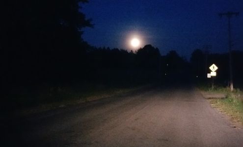 L Romano Rifle Co Pennellville