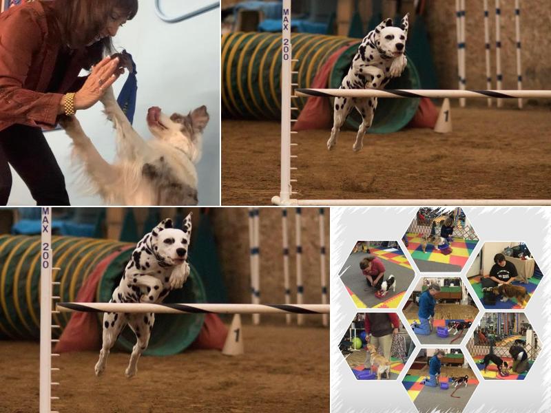 Stone Hill Training Center