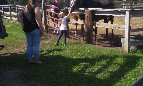 Carousel Farm Fulton