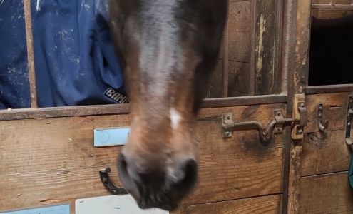 Newstead Equestrian Center Akron