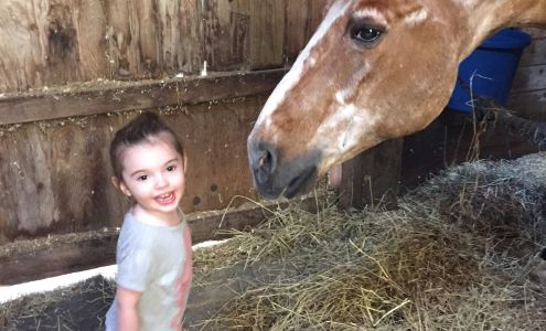 Hollow Brook Riding Academy Putnam Valley