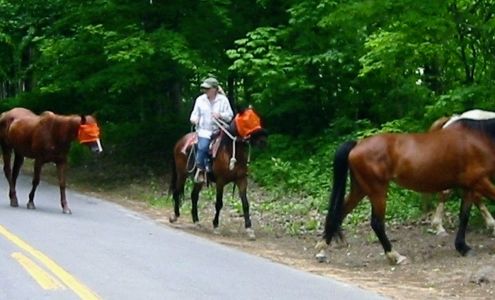 Adventure Horse Riding in NYS 8585 Buck Hill Rd, Westernville New York 13486