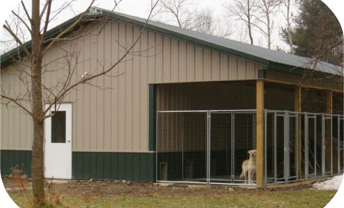 Almost Home Dog Boarding