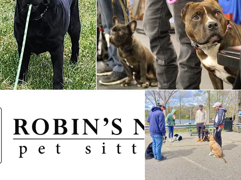 ROBIN'S NEST PET CARE & K9 TRAINING