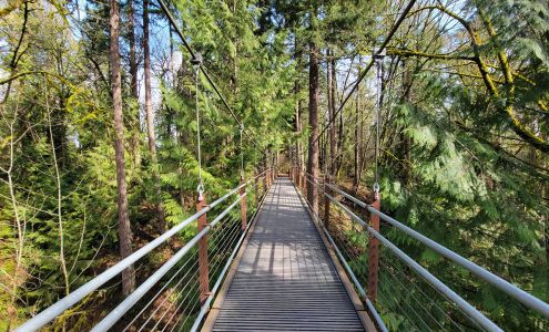 Bellevue Botanical Garden