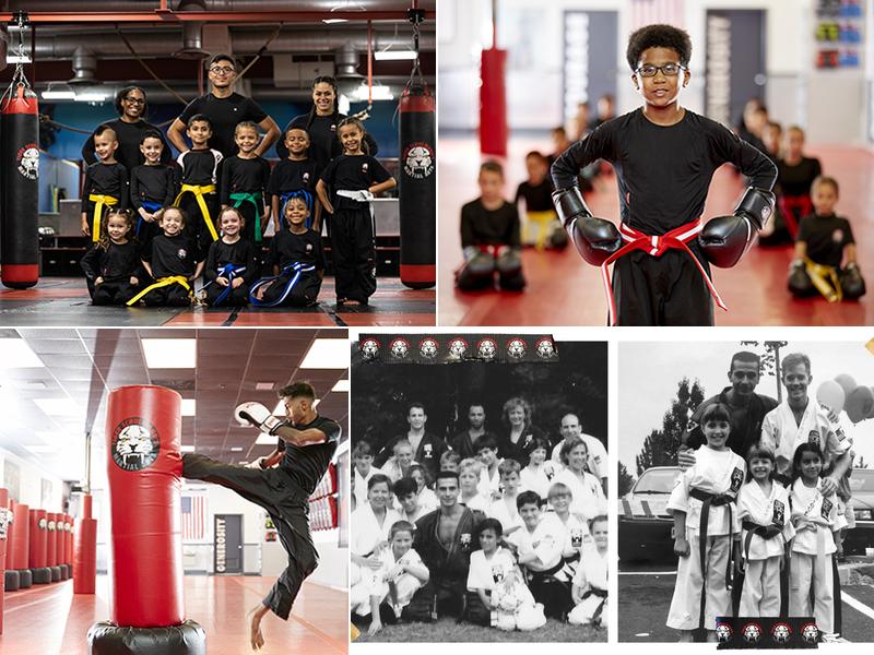 Tiger Schulmann's Martial Arts (Syosset, NY)