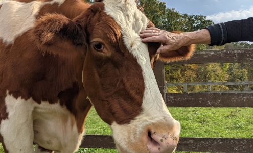 Catskill Animal Sanctuary