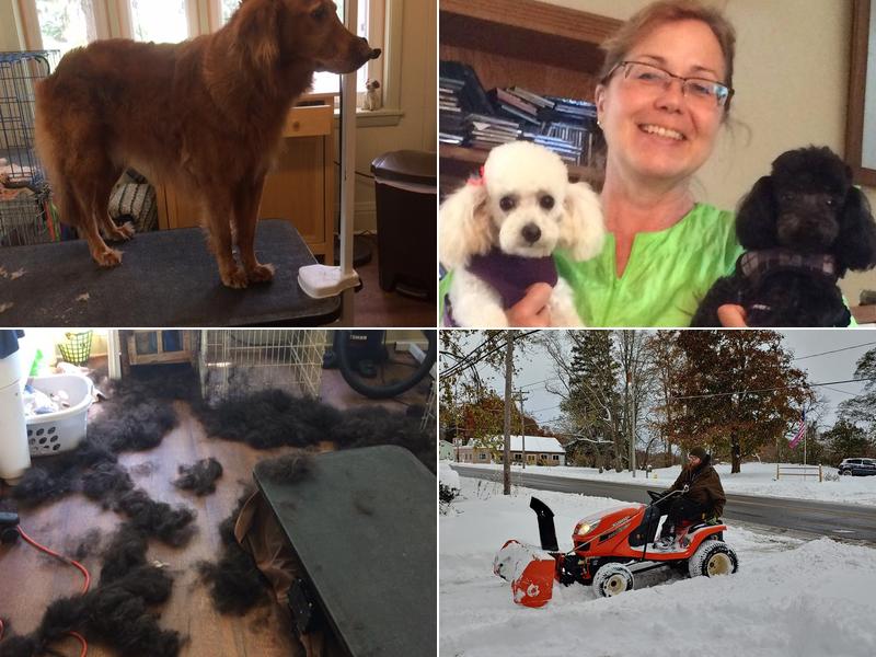 Suds & Scissors Pet Salon