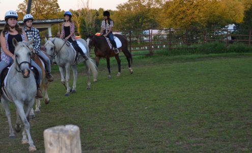 Springer's Farm 128 Lakeview Rd, Broadalbin New York 12025