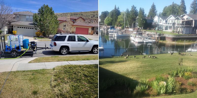 Tahoe Cleaning Service