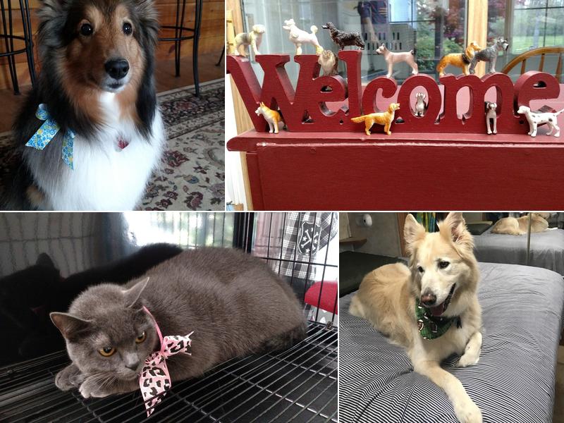 Untangled Pet Styling Salon