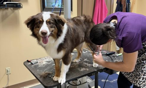 Countryside Kennels 6808 Bliss Rd, Mayville New York 14757