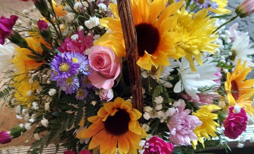 Absolutely Youmi's 219 Montgomery St, Ogdensburg New York 13669