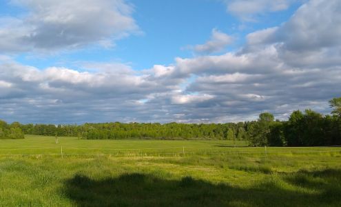 Ranch Veterinarians 256 Irish Settlement Rd, Heuvelton New York 13654