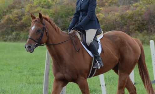 Fuller Riding Instruction Bridgeport