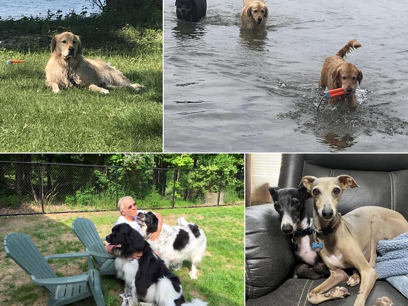 Maple Lawn Bed & Biscuit, LLC