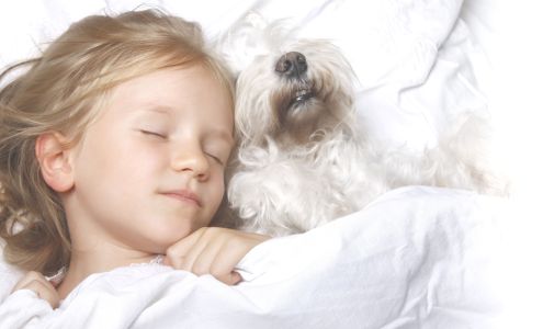 Hopeful Dreams Family Puppies North Bangor