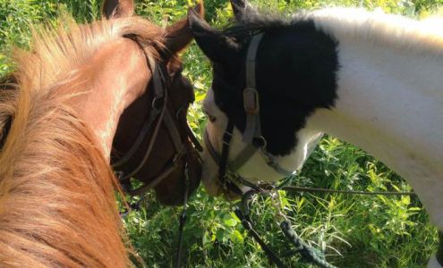 One Trick Pony Rides 542 Kautz Hollow Rd, Johnsonville New York 12094