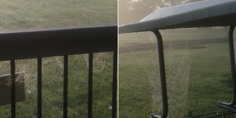 Robert Glenn Bellinger