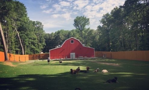 Big Red's Bed & Biscuit