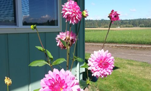 IFA Nurseries Inc Toledo