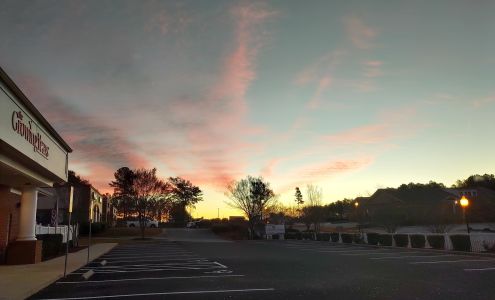 The Growing Years-Clayton Oleander