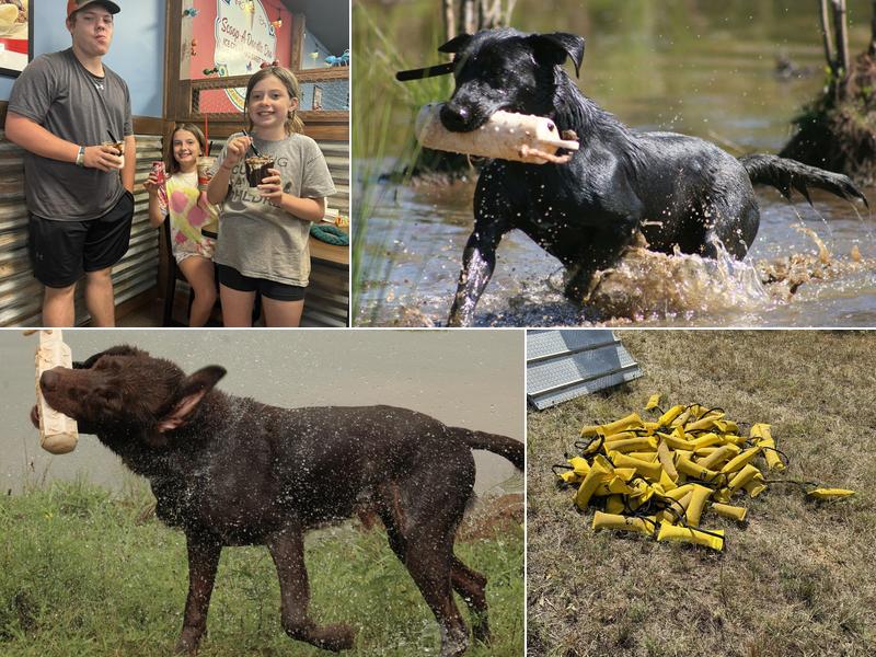 Avery Creek Retrievers