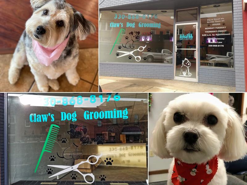 Claws Dog Grooming