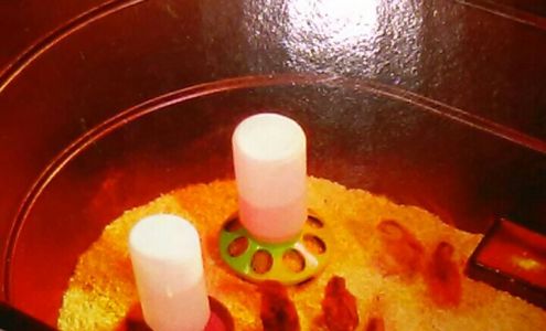 Buckley Brothers Inc. The Plains