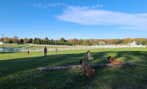 Copley Stables, Inc. 2014 Sharon Copley Rd, Medina