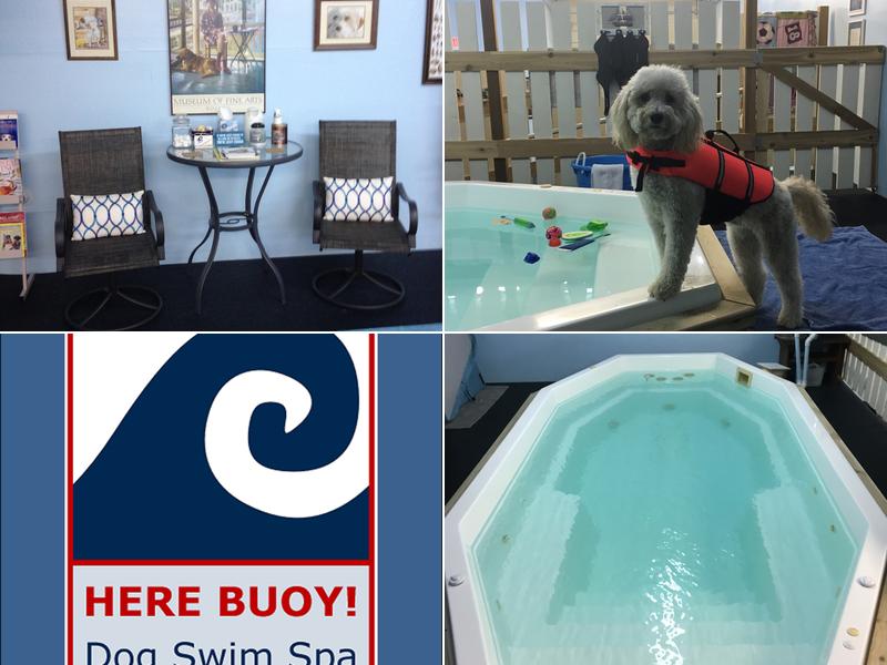 Here Buoy! Dog Swim Spa