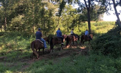 Salt Fork Stables Lore City