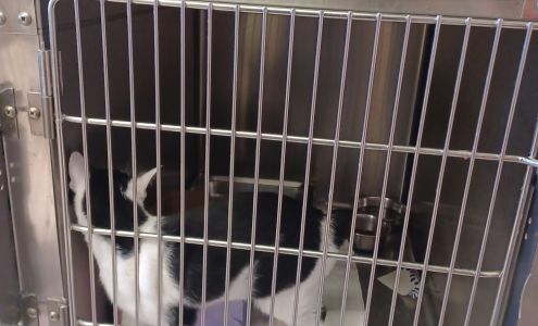 Humane Society of Erie County