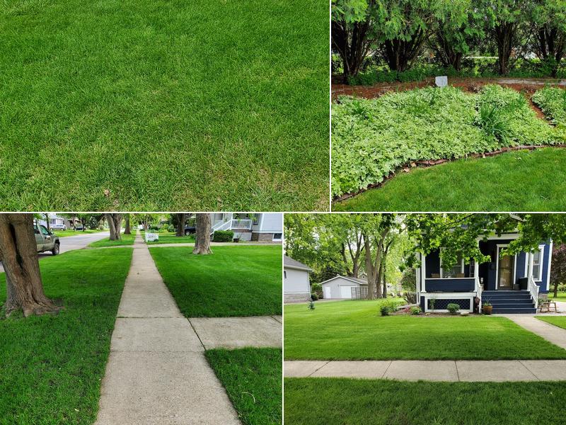 Nathans Lawn Service