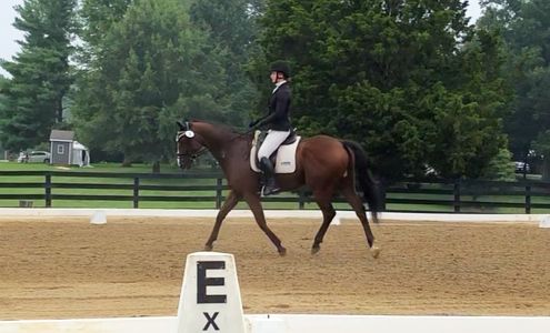 Candle Light Farms Montville