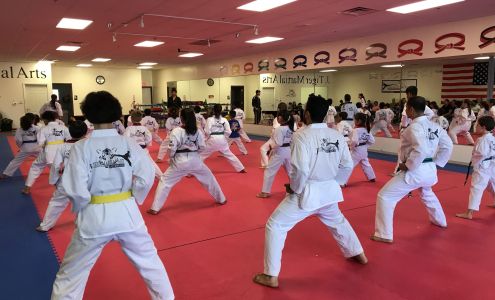 J.Tiger Martial Arts Taekwondo