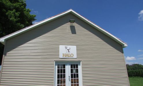 Halo K9 Behavior Consultation