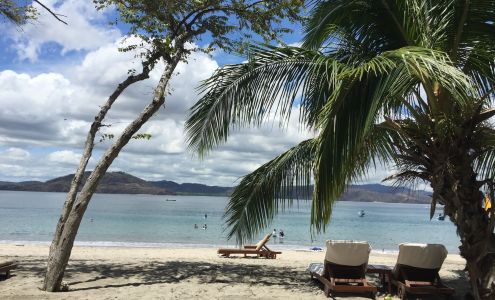 Best Luxury Travel Agents at Peterson Travel Group Clarendon Hills