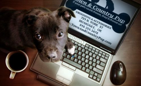 Town & Country Pup LLC